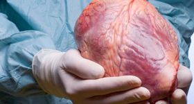 Tabu na stolu: Pred misterijem patnje i smrti