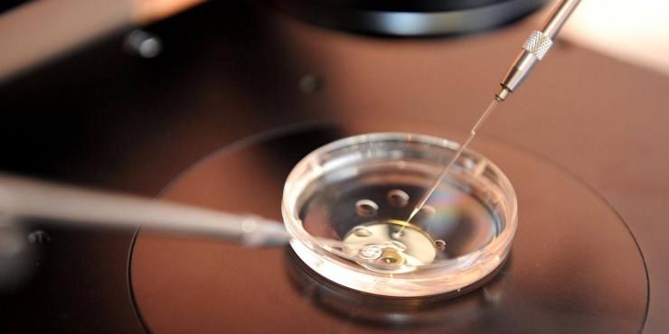 Tabu na stolu: Umjetna oplodnja